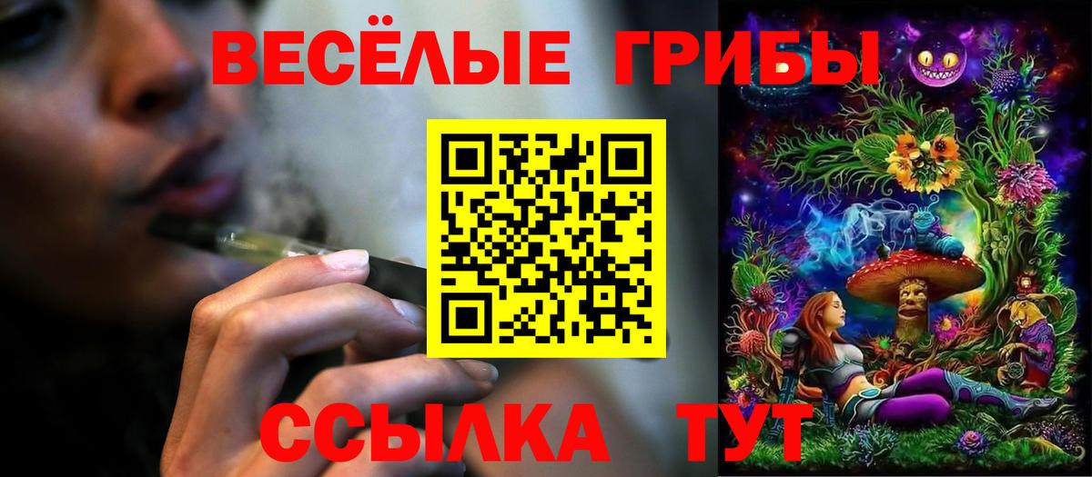 Галлюциногенные грибы MAGIC MUSHROOMS  Вход с VPN  Красноармейск 