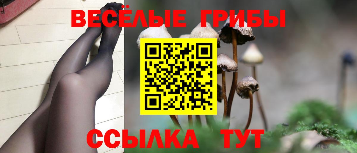 Псилоцибиновые грибы Cubensis Красноармейск